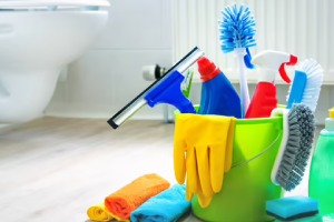 Messie Reinigung Hildesheim